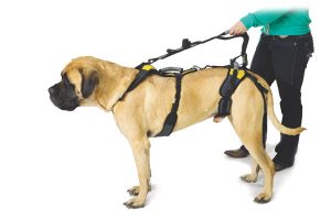 help-em-up-harness-and-shoulder-strap