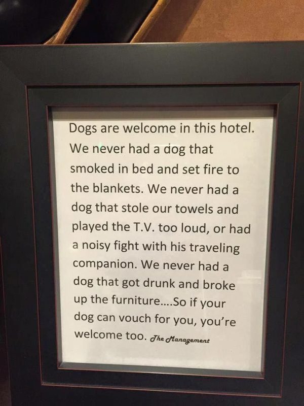 How to Find Hotels That Allow Large Dogs The Speckled Door